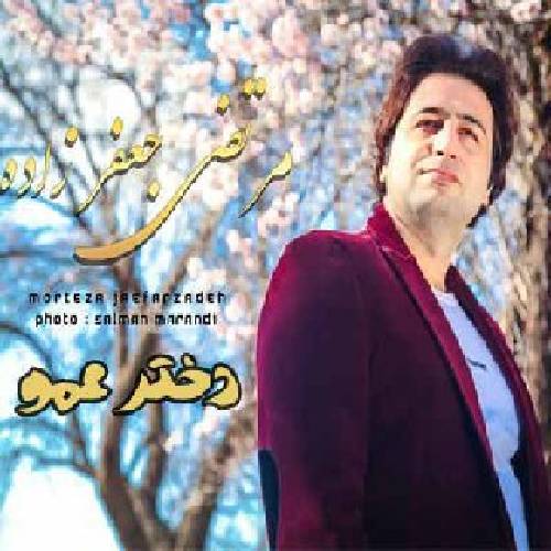 مرتضی جعفر زاده  آهوی صحرا مرا بهاره دختر عمو